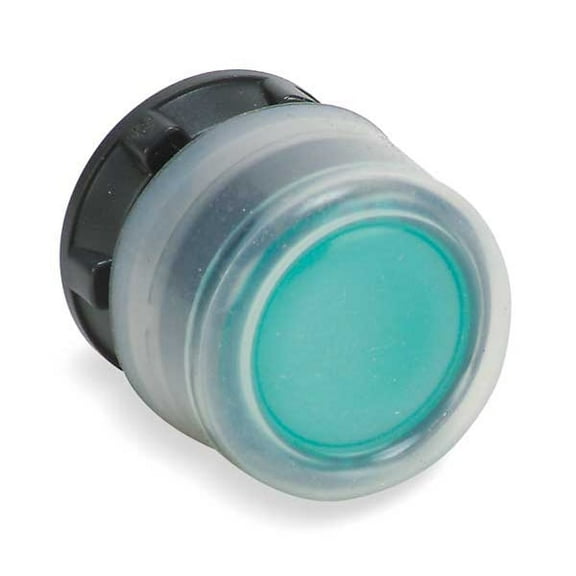 Schneider Electric Flush Push Button, Green, No Lamp, 22mm ZB5AW533