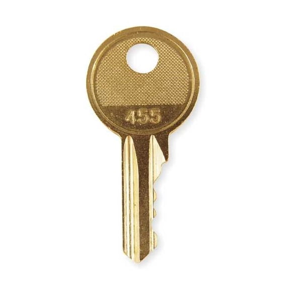 Schneider Electric Replacement Key, 455 Key Code Q99900901