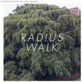 thumbnail image 1 of Schneider Kacirek - Radius Walk - Electronica - CD, 1 of 1