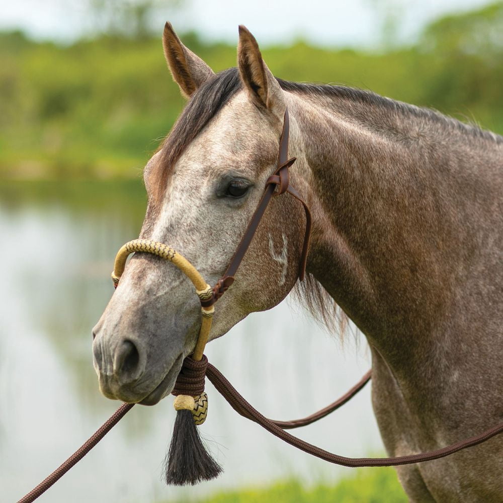 Schneiders Double S Bosal Hanger with Bosal Versatile Horse Training ...