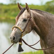 Schneiders Double S Bosal Hanger with Bosal Versatile Horse Training Gear