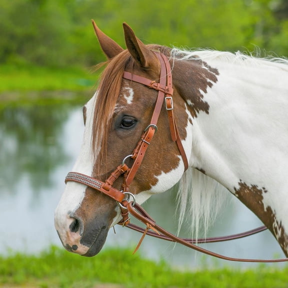 Schneiders Double S Harness Leather Nose Side Pull | Ideal for Leisure Riding