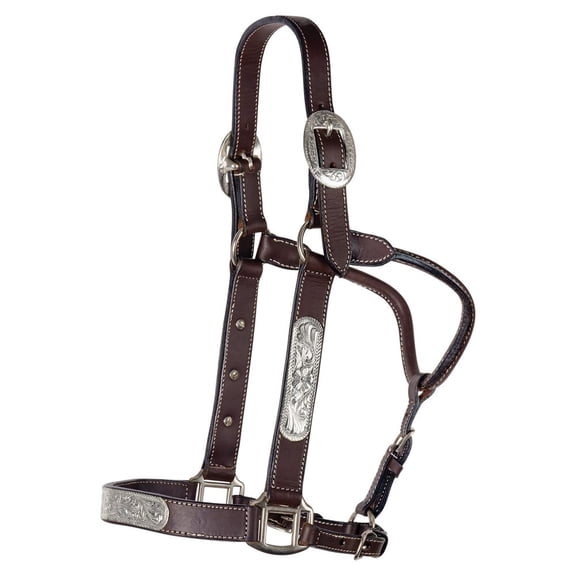 Schneiders Double S Simply Silver Show Horse Halter w/ Lead | Leather | Dark | Full Horse
