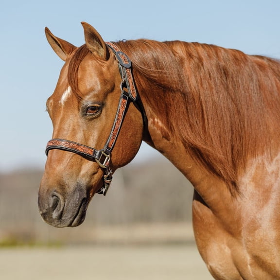Schneiders Double S Tooled Leaf Padded Leather Ranch Halter for Horses |Size Full Horse