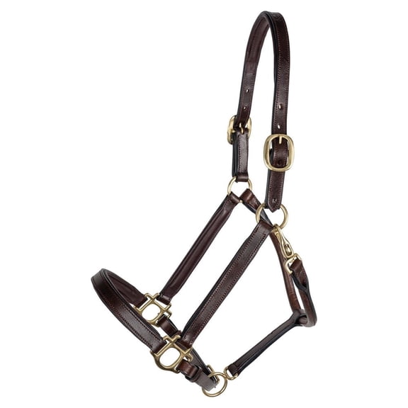 Schneiders Double Stitched 3/4" Padded Leather Horse Halter | Brown | Full Size