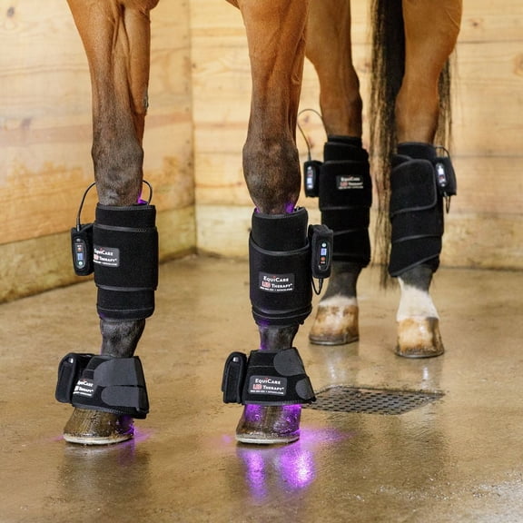 Schneiders EquiCare LED Purple Light Horse Kit | Cordless & Rechargeable