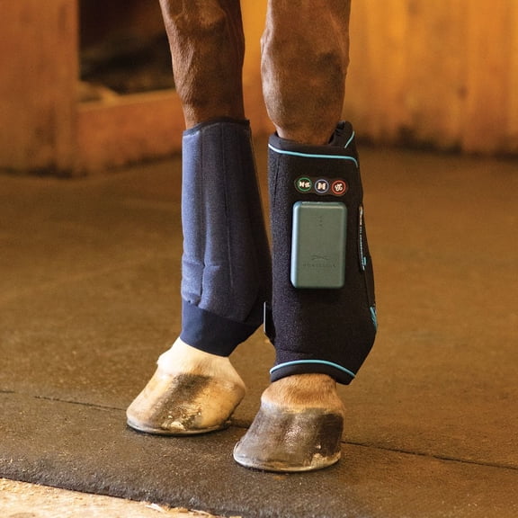 Schneiders IceStride Compression Wrap Set with Extra Gel Packs | Horse Cold Compression Wrap Boots