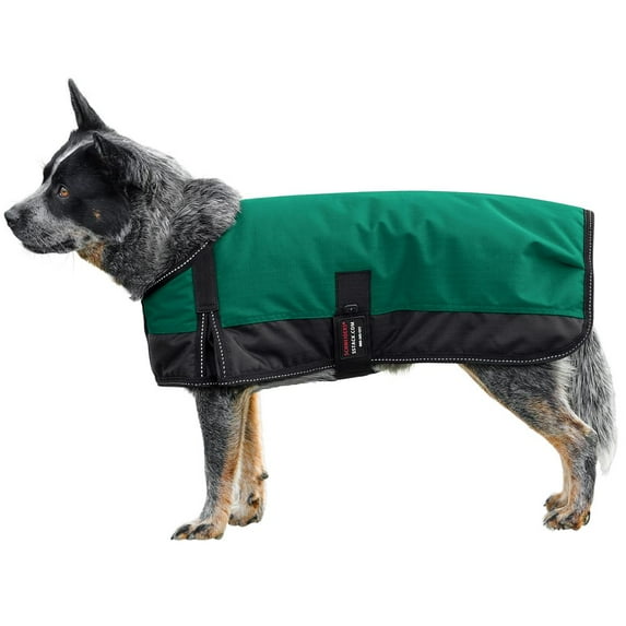 Schneiders Insulated Waterproof Reflective Dog Coats II | Color Green | Size Large