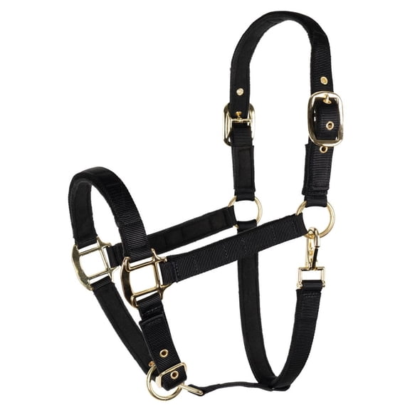 Schneiders Magnetic Therapy Calming Nylon Stable Halter for Horse | Black | Cob