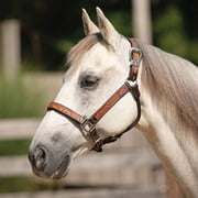 Schneiders McKenzie Padded Leather Ranch Halter for Horses | Size Full Horse