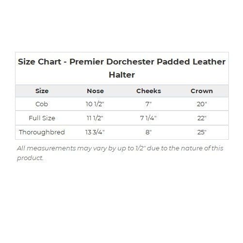 Schneiders Premier Dorchester Padded Leather Halter for Horses | Fancy Stitch Detailing | Soft Buffalo Leather | Padded for Comfort