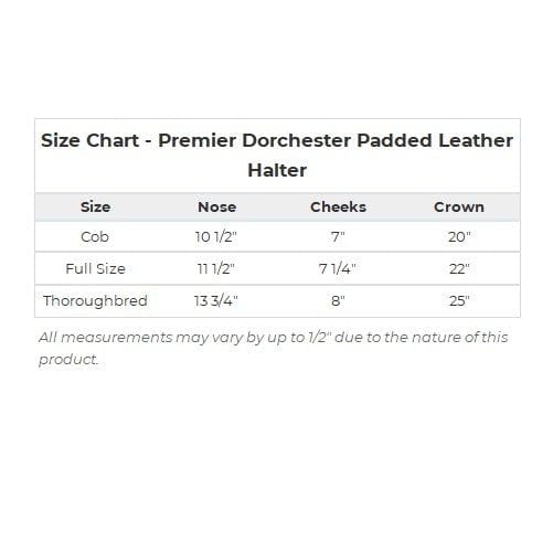 Schneiders Premier Dorchester Padded Leather Halter for Horses | Fancy Stitch Detailing | Soft Buffalo Leather | Padded for Comfort