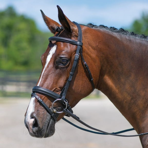 Schneiders Premier Dressage Snaffle Bridle with Crank | Over Size