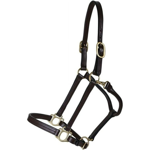 Schneiders Premier Fort Worth 3/4 Leather Halter for Horses | Designed for Refined Heads | Softer Buffalo Leather | Solid Brass Hardware | Customizable Fit | Clean Look