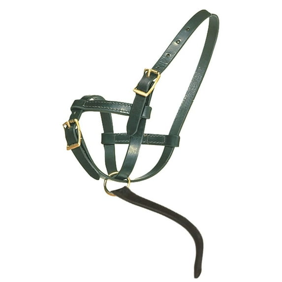 Schneiders Premier Leather Foal Halter for Horses | Perfect for Newborn Foals