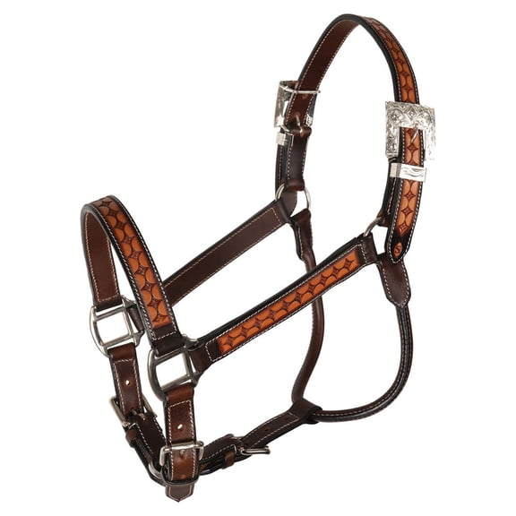 Schneiders Sunburst Ranch Western Show Halter for Horses | Semi-Custom Fit | Full Horse