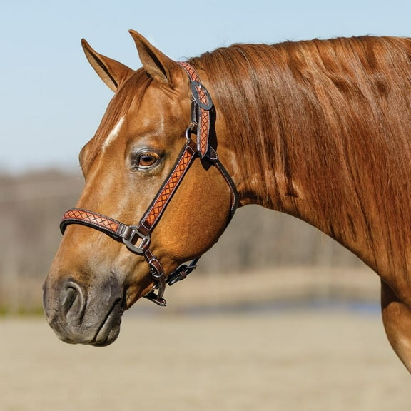 Schneiders Tooled Diamond Padded Leather Ranch Halter for Horses | Size Small Horse