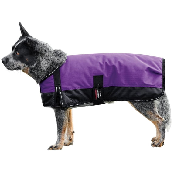 Schneiders Waterproof Reflective Dog Coat II | 600D Polyester | Purple | Size Small/Medium