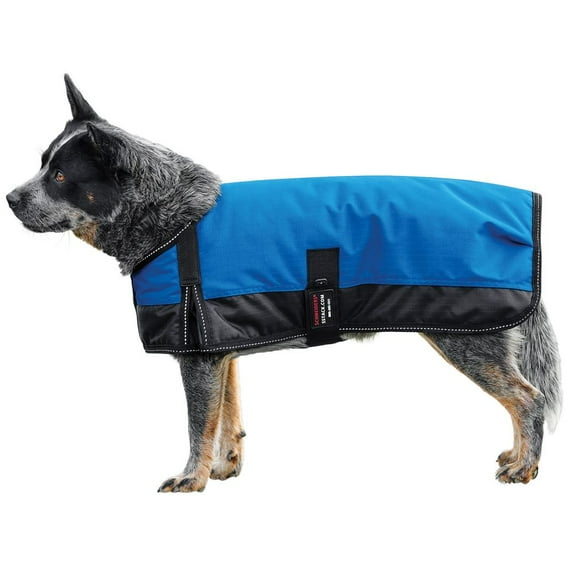 Schneiders Waterproof Reflective Dog Coat II | 600D Polyester | Royal | Size X-Large