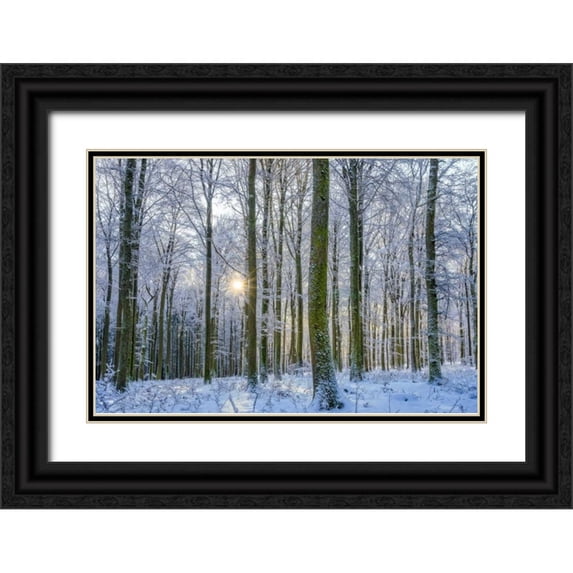 Schneidersmann, Anne 18x13 Black Ornate Wood Framed with Double Matting Museum Art Print Titled - Frosty Forest