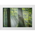 thumbnail image 1 of Schneidersmann, Anne 32x23 White Modern Wood Framed Museum Art Print Titled - Shower of Light, 1 of 4