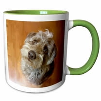 3drose, Schnoodle Portrait, 15oz Two-tone Green Mug