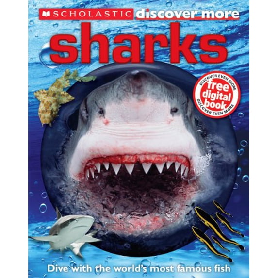 Pre-Owned Sharks (Paperback) 9780545495615