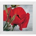 thumbnail image 1 of Scholnhammer, Heinz 16x15 White Modern Wood Framed Museum Art Print Titled - The red poppy, 1 of 4