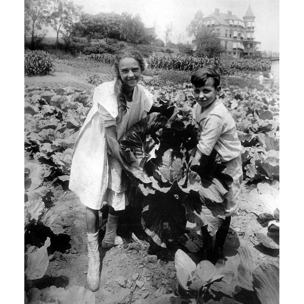 School Children With A Huge Head Of Cabbage Raised In The War Garden Of ...
