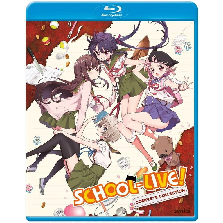 SCHOOLYOUTH解散ライブDVDーR School-Live! Complete Collection - Walmart.com