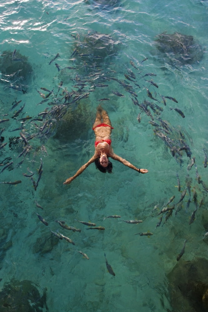 School Of Fish Encircling Woman Floating In Tropical Ocean Water Canvas Art - M Swiet Productions Design Pics (12 x 18)