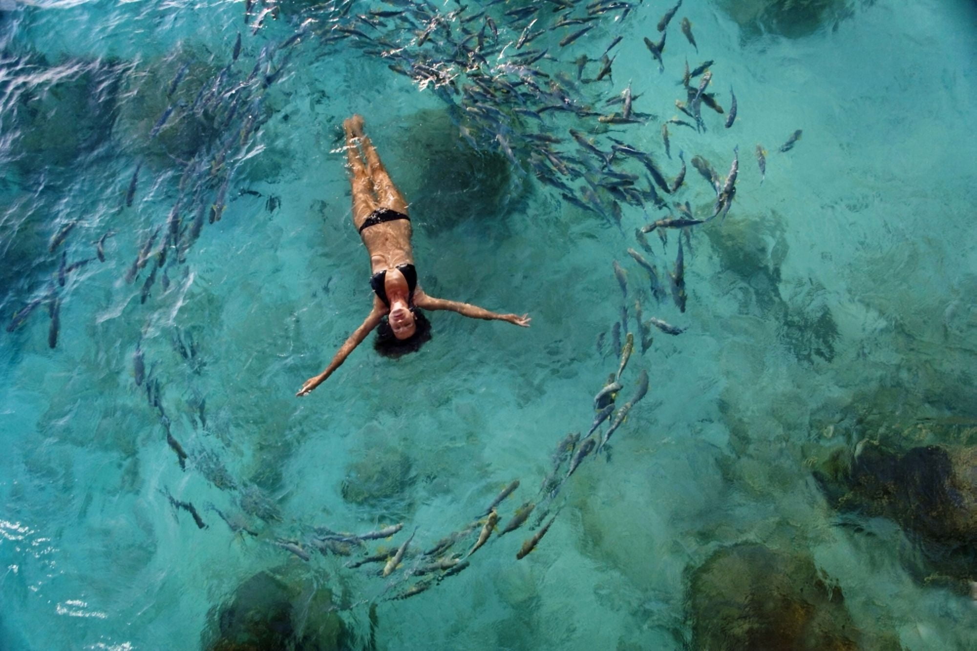 School Of Fish Encircling Woman Floating In Tropical Ocean Water Canvas Art - M Swiet Productions Design Pics (36 x 24)