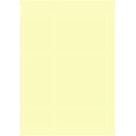 School Smart 006438 36 x 24 In. Jumbo Manila Tag Unruled Chart Paper- Pack - 100