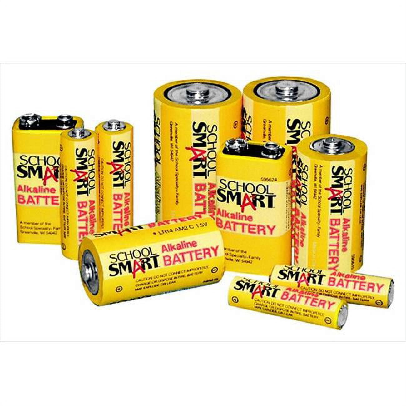 School Smart 084987 Alkaline Aaa Battery, Pack 12