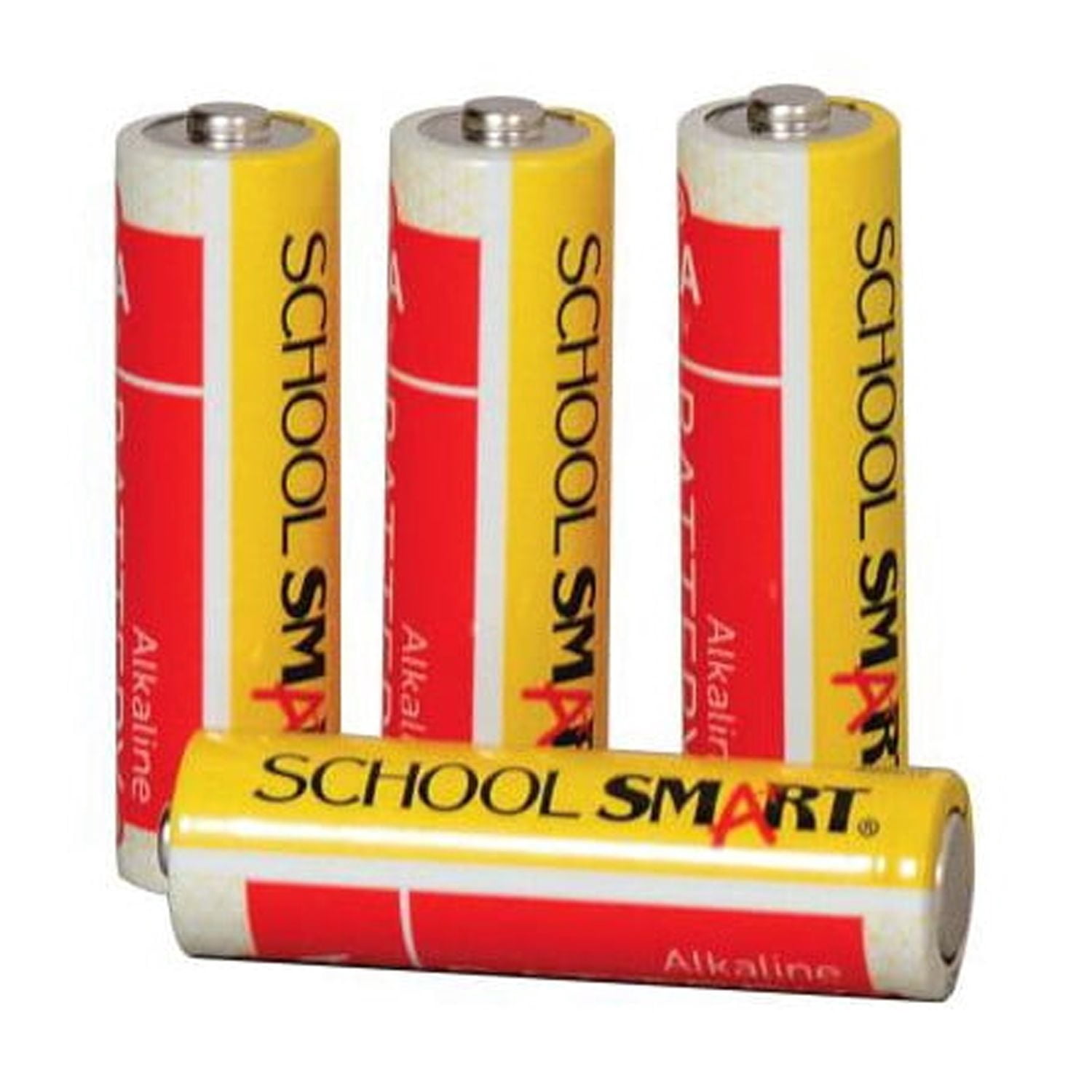 Alkaline AA Batteries, Pack of 48
