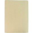 School Smart Graph Paper, 1/4 Inch Rule, 9 x 12 Inches, Manila, Pack of