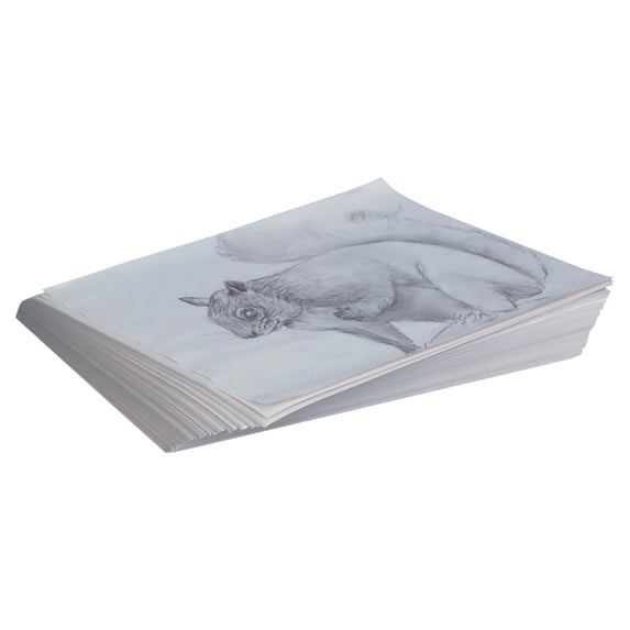 School Smart Sax Plain Newsprint Newspaper, 30 lb, 24 X 36 in, White, Pack of 500