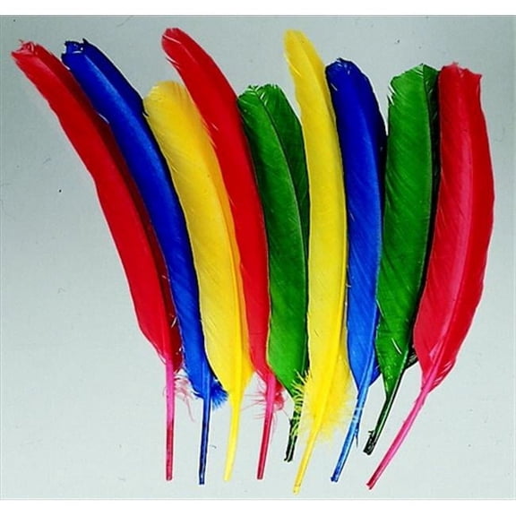 School Smart 086302 10-12 In. Non-Toxic Long Colored Quill- Pack 12