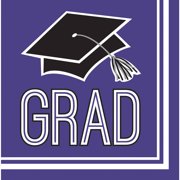 School Spirit Purple Napkins, 36pk