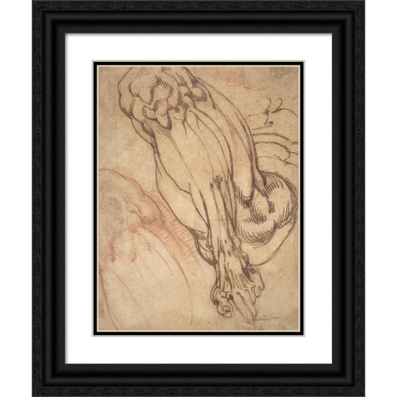 School of Michelangelo Buonarroti 19x24 Black Ornate Framed Double Matted Museum Art Print Titled: Anatomical Studies of a Leg (1475-1564)