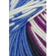 thumbnail image 1 of Schoppel Wolle - Ambiente/Life Style Knitting Yarn - Nightshade (# 2506), 1 of 3
