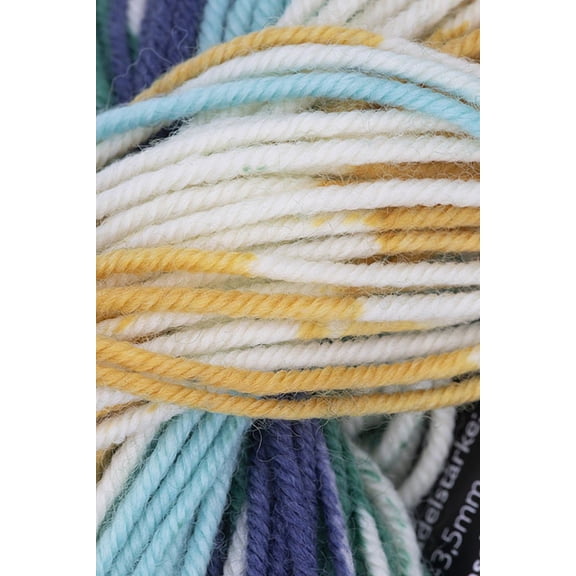 Schoppel Wolle - Ambiente/Life Style Knitting Yarn - Organic Food (# 2579)