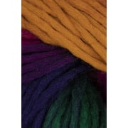 Schoppel Wolle - Reggae Ombre Knitting Yarn - Multicolor # 1505