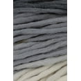 thumbnail image 1 of Schoppel Wolle - Reggae Ombre Knitting Yarn - Shadow (# 1508), 1 of 3