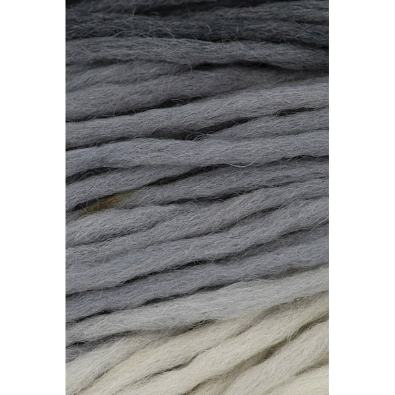 Schoppel Wolle - Reggae Ombre Knitting Yarn - Shadow (# 1508)