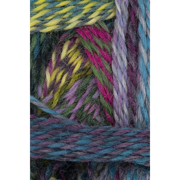 Schoppel Wolle - Zauberball Crazy Knitting Yarn - Dragon Eye (# 2528)