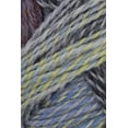 thumbnail image 1 of Schoppel Wolle - Zauberball Crazy Knitting Yarn - Fohnlage (# 2427), 1 of 3