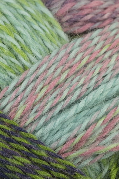 Schoppel Wolle - Zauberball Crazy Knitting Yarn - Green/ Pink/ Mint (# 2170)