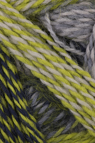 Schoppel Wolle - Zauberball Crazy Knitting Yarn - Lime/ Greys (# 2204)
