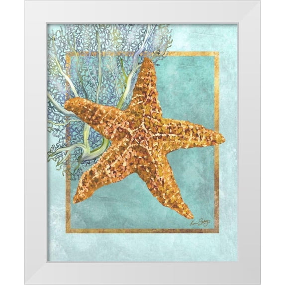 Schory, Lori 26x32 White Modern Wood Framed Museum Art Print Titled - Starfish and Coral